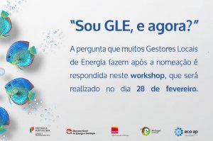 Workshop GLE