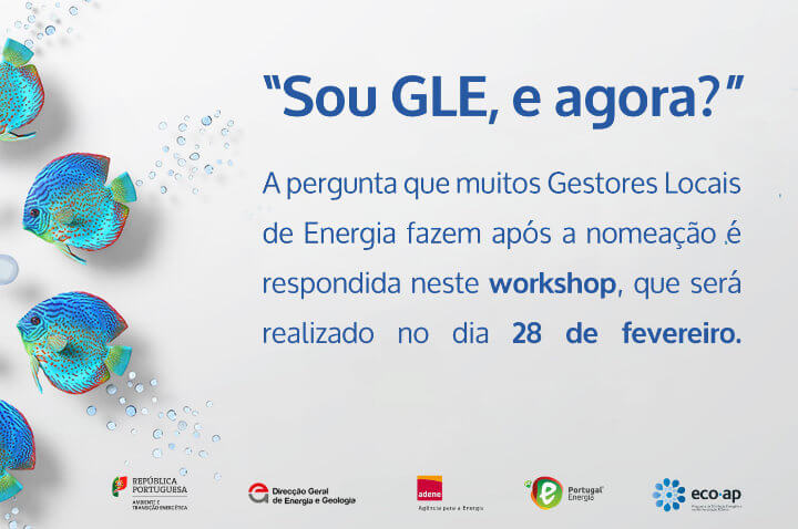 Workshop GLE