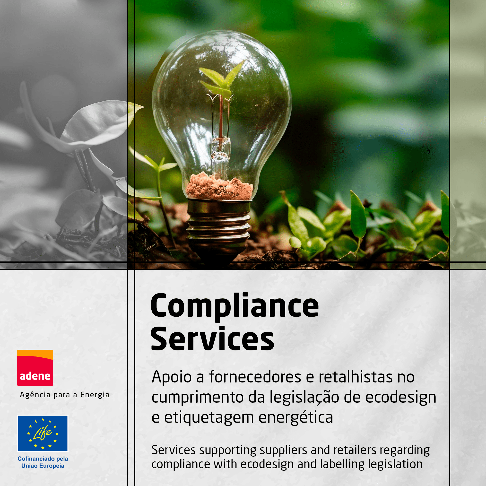 ADENE em projeto europeu para a implementação da legislação de ecodesign e Etiquetagem Energética