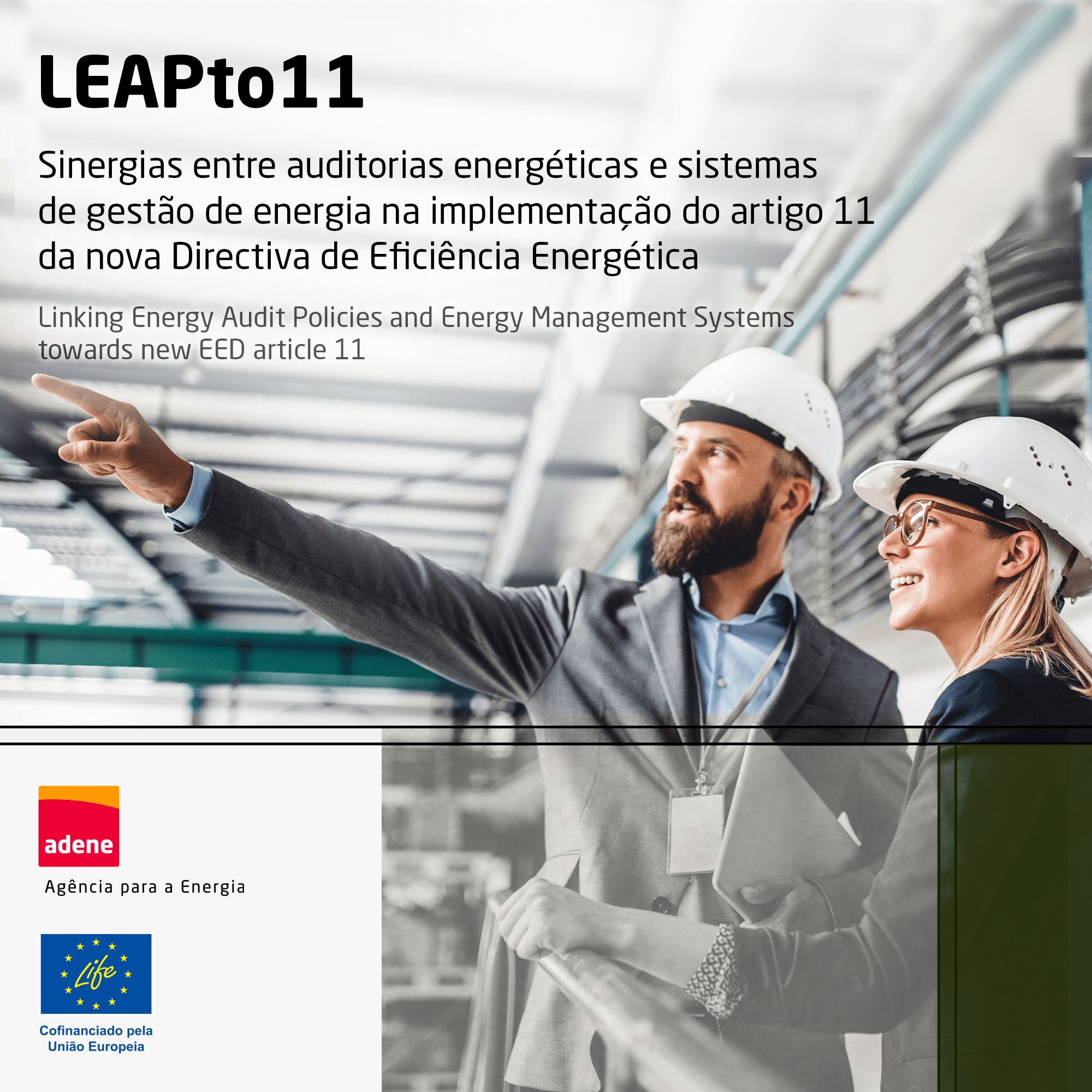 ADENE é parceira de projeto europeu no sector da indústria - Adene