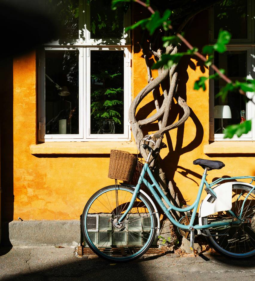 Bicicleta encostada a árvore e prédio amarelo.