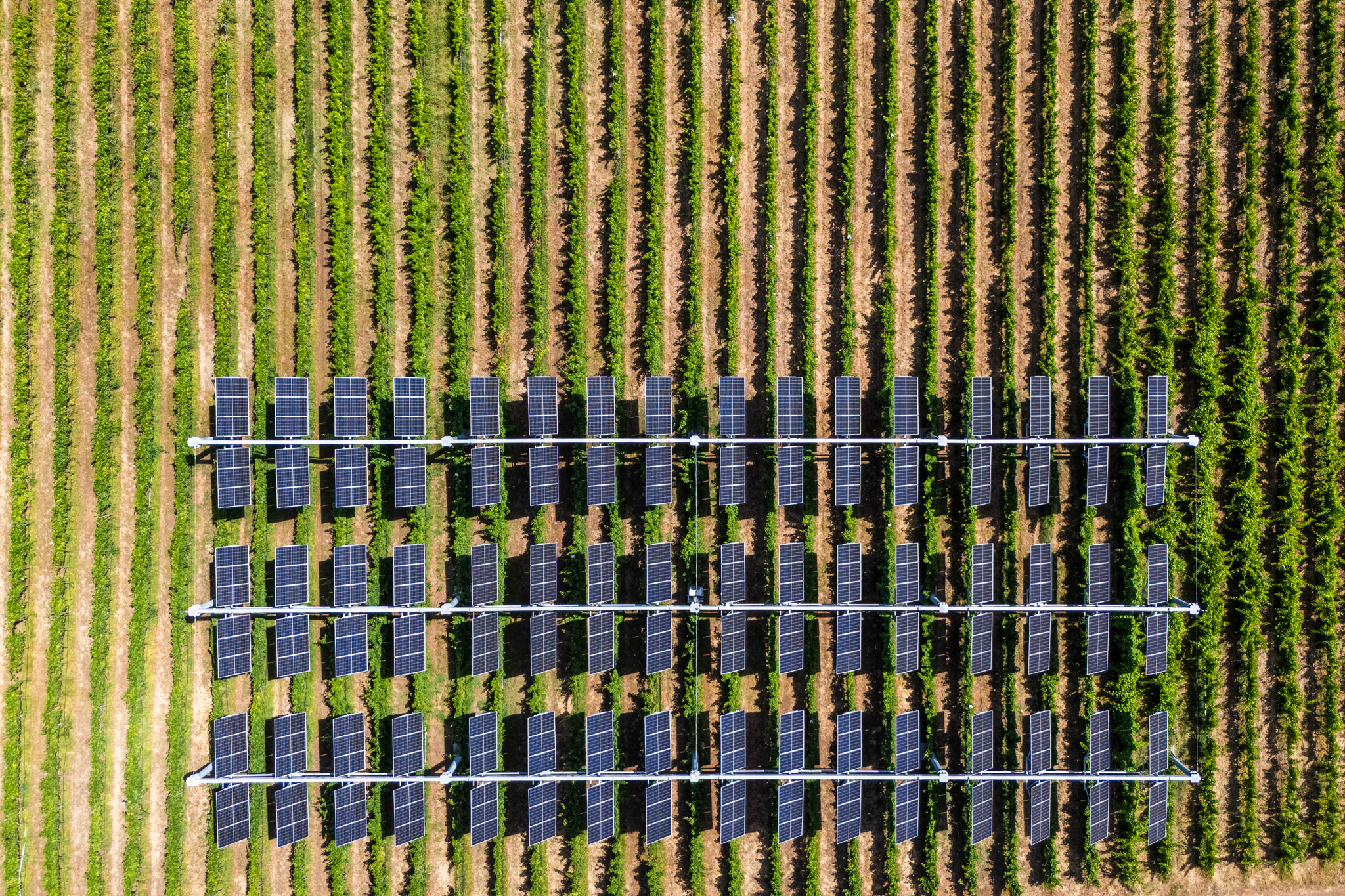 ADENE news - Imagem ilustrativa